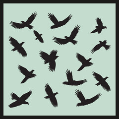 Obraz premium Flock of Birds black Silhouette vector 
