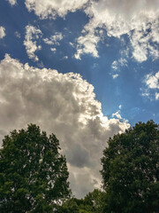 Cloudscape on a blue sky day framed by trees