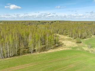 Obraz premium agricultural field and forest in spring from a height