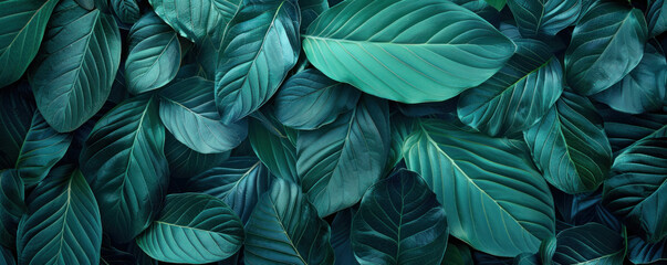 A close up of green leaves with a lush green background. The leaves are arranged in a way that creates a sense of depth and movement