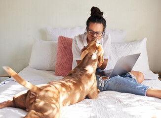 Woman, dog and kiss in a bedroom with remote work, laptop and bonding of rescue animal in a house....