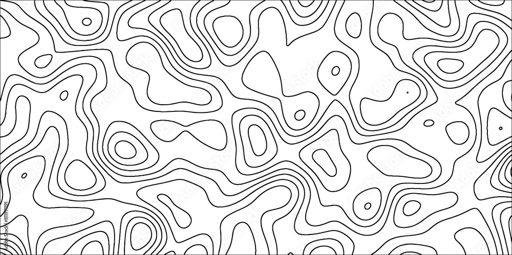 Poster abstract wavy line 3d paper cut white topographic canyon geometric map relief texture. black and whi