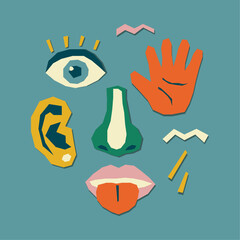 The five human senses. Collage of a human face from pieces of cut paper.Vector stock illustration.