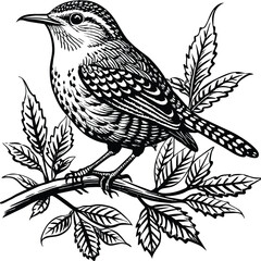 Wren bird linocut. Bird sketch art