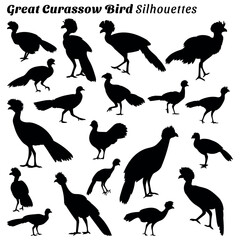 Set of silhouette illustrations of great curassow bird