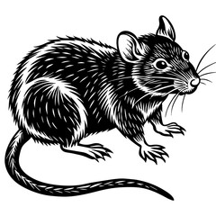 rat vector design 