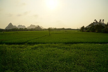 Landscape of agricultural fields in the countryside