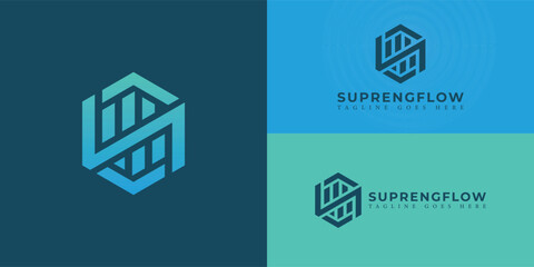 Abstract initial hexagon letter SN or NS logo in gradient blue color isolated on multiple background colors. The logo is suitable for software technology company logo design inspiration templates.