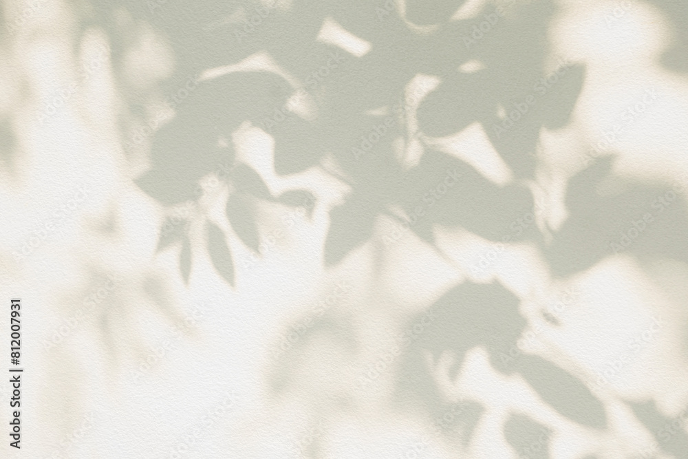 Poster Leaf shadow and tree branch background. Nature leaves tree branch light bokeh shadows sunlight sunshine shade on white wall texture for background wallpaper, shadows overlay effect foliage mockup