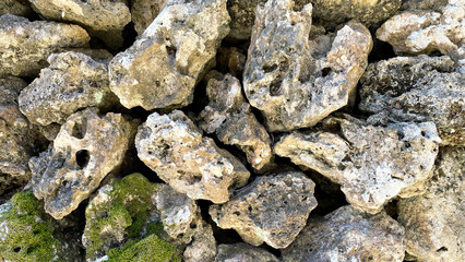 琉球石灰岩の石垣 テクスチャ