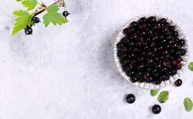 ripe organic blackcurrant berry in a bowl