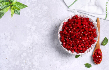 ripe organic berry red cranberry in a bowl