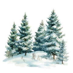 Winter spruce forest covered the snow in watercolour painting isolated on transparent background.