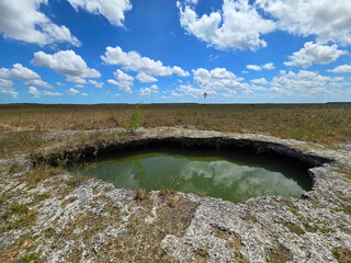 Sunny summer cloudscape over solution hole in Everglades National Park, Florida reflected in calm water.