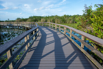 Anhinga Trail elevated boardwalk over wetlands of Everglades National Park, Florida on sunny summer...