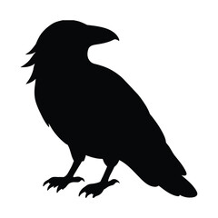 silhouette of a raven bird