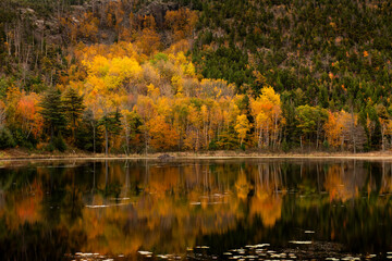 Scenic view of a lake with the trees reflecting on the water, in Acadia National Park, Maine, USA. Concept for autumn colors foliage