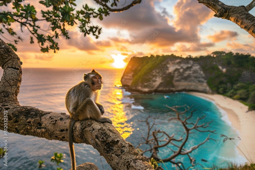 Poster a monkey sitting on a tree branch overlooking the ocean. suitable for nature and wildlife themes
