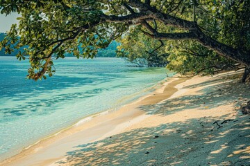 A peaceful bench on the sandy beach, perfect for relaxation and contemplation