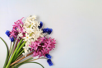 Abstract floral composition, beautiful spring flowers hyacinths and muscari on a light background, banner, still life with space for text, floral holiday card, summer greeting concept