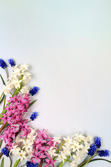 Beautiful spring flowers hyacinths and muscari on a light background, flyer.Abstract floral...