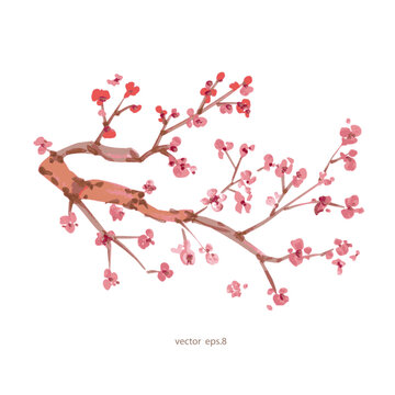 watercolor blooming branches of sakura tree. asian ink painting.