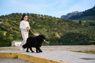Adorable child kid walking her pedigree dog, a black purebred cocker spaniel in the mountains...
