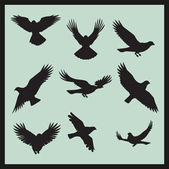 Obraz premium Falcon black silhouette set vector