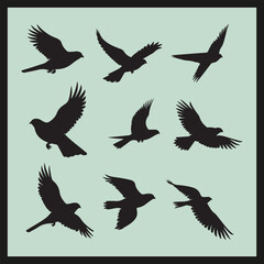 Obraz premium Falcon black silhouette set vector