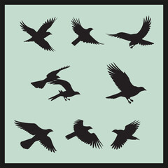 Falcon black silhouette set vector