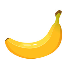 Vector illustration of single banana isolated on white background. 
