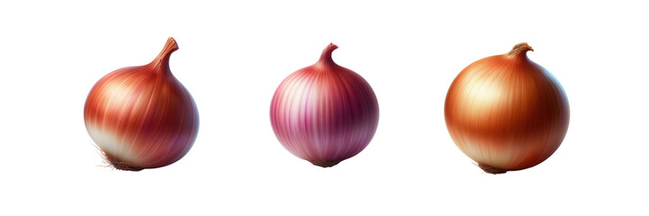 Set of Onion, isolated over on transparent white background
