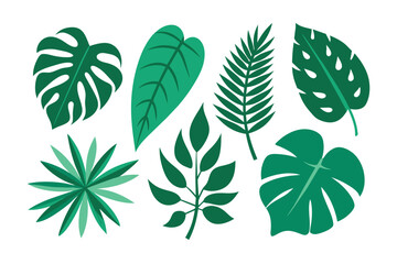 Set of tropical Leaves Vectors design