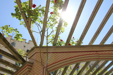 Gartenhimmel