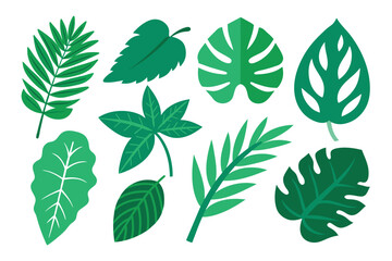 Set of tropical Leaves Vectors design