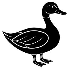 A Duck silhouette on white background 