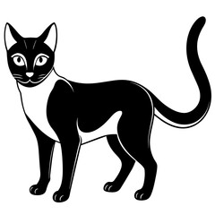 Anatomy Thai black cat vector silhouette on white background 