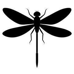 Guinea dragonfly vector silhouette 