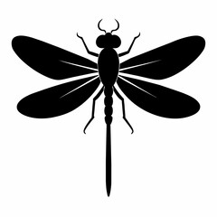 Guinea dragonfly vector silhouette 
