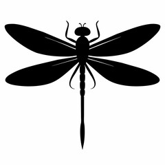 Guinea dragonfly vector silhouette 
