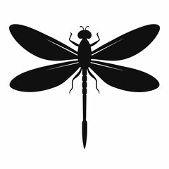Guinea dragonfly vector silhouette 