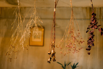 A dry flower hanging to decorate inside of a house or coffee shop, interior eco and sustainable...
