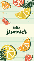 Vector of social media story design template, background with copy space for text - hello summer  Art for poster, postcard, wall art, banner background. Summer fruits: orange, lemon, grapefruit.