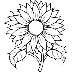 Sunflower outline coloring book page line art drawing vector illustration for children and adults