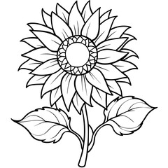 Sunflower outline coloring book page line art drawing vector illustration for children and adults