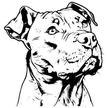 Gog face art black and white art