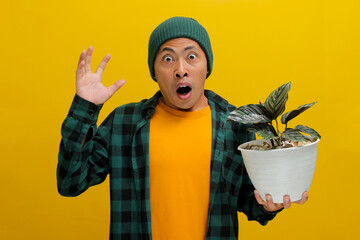 Asian man in a beanie and casual clothes stares in surprise at his Pin-stripe Calathea (Calathea...