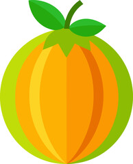 Casaba melon fruit vector