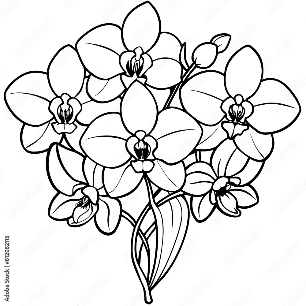 Wall mural orchid flower outline coloring book page line art drawing vector illustration for children and adult