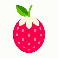 illustration of a Lychee